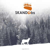 Skandobs