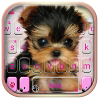 Cute Tongue Cup Puppy Tema de teclado