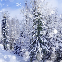 wallpaper winter live