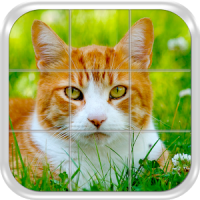 Cats Slide Puzzle Game