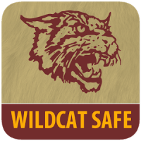 Wildcat Safe