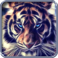 Tigre, fondo de pantalla