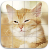 Cats Tile Puzzle