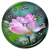 Lotus Clock Live Wallpaper