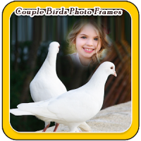 Couple Birds Photo Frames