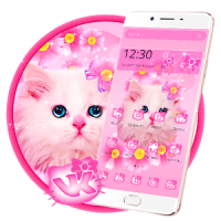 Tema lindo gatito rosa