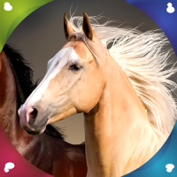 Horse Live Wallpapers