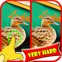 Find Difference Game Duck