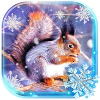 Winter Squirrel Forest