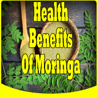 Health Benefits Of Moringa