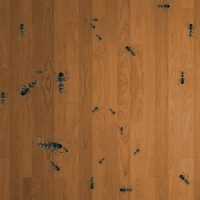 Ant Hunter Live Wallpaper