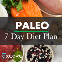 Paleo Diet Plan