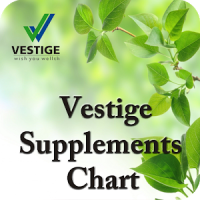 Vestige Supplements Chart