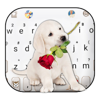 Puppy Love Rose Tema de teclado