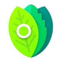 Minty Icons Pro