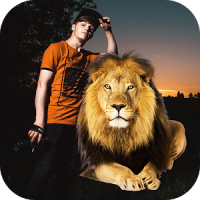 Lion photo Editor