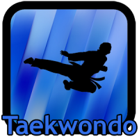 Taekwondo Training