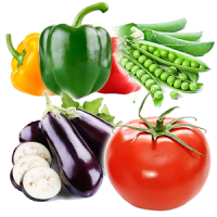 تعليم اسماء الخضروات ➕ انواع الخضروات