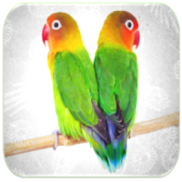 Love Birds Ringtones