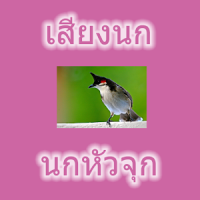 Cabeza de ave aves Tailandia