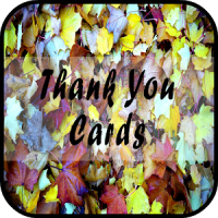 Thank You Greeting Cards