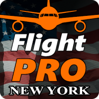 Pro Flight Simulator NY 4K