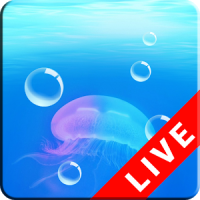 Underwater Live Wallpaper