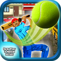 Cricket Street Cup Game