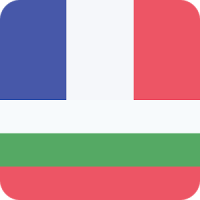 French Bulgarian Offline Dictionary & Translator