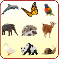 Animal Sounds - Animals for Kids and Animals Game