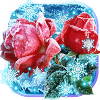 Rosas Nieve Invierno Fondos Pantalla Animados