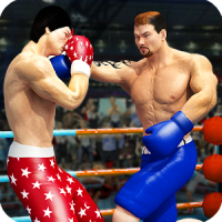 World Tag Team Super Punch Boxeo Star Champion 3D