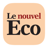Le nouvel Economiste.fr