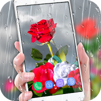 Rose Live Wallpaper 2019 with Waterdrops
