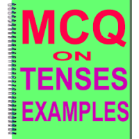 MCQ on Tenses Examples, English Grammar Practice