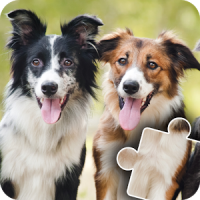 Dogs & Cats Puzzles for kids & toddlers