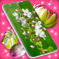 Cherry Blossom Live Wallpaper Spring Wallpaper