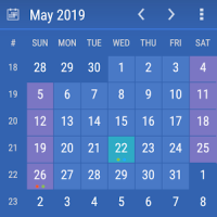 Calendario Widget