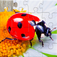 Puzzlespiele Insekten Kinder