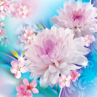 Flowers Live Wallpaper