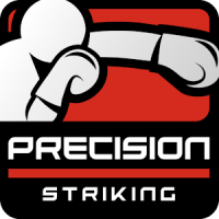 Precision Boxing Coach Free