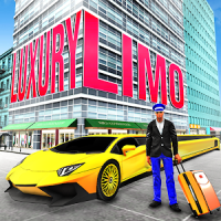 Luxury Limo Taxi Driver City : Limousine Driving