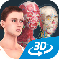 Human body (female) educational VR 3D
