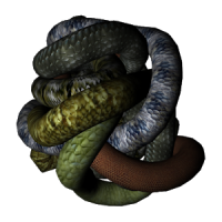 Snake Pit 3d live wallpaper