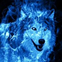 Ice Fire Wolf Wallpaper
