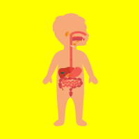 Learning body parts for kids offline flashcards