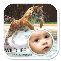 Wildlife Photo Frames