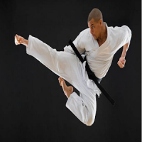Artes marciales Karate