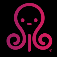 Octoplus-coaching