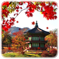 Autumn leaves in pagoda